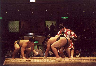 Picture of Sumo wrestling