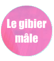Le gibier mâle