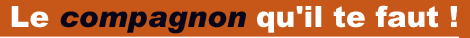 Le compagnon qu'il te faut !