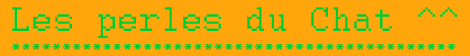 les perles du Chat